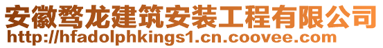 安徽騖龍建筑安裝工程有限公司