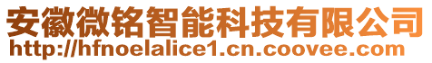 安徽微銘智能科技有限公司