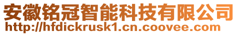 安徽銘冠智能科技有限公司