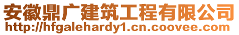 安徽鼎廣建筑工程有限公司