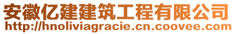 安徽億建建筑工程有限公司