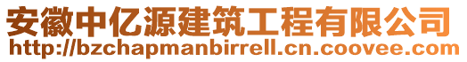 安徽中億源建筑工程有限公司