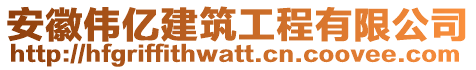 安徽偉億建筑工程有限公司
