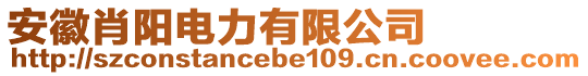 安徽肖陽(yáng)電力有限公司