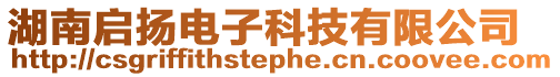 湖南啟揚電子科技有限公司