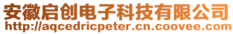 安徽啟創電子科技有限公司