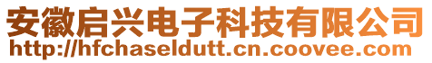 安徽啟興電子科技有限公司