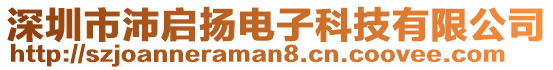 深圳市沛啟揚電子科技有限公司