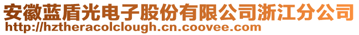 安徽藍盾光電子股份有限公司浙江分公司