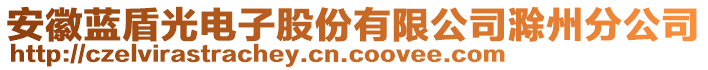 安徽藍盾光電子股份有限公司滁州分公司