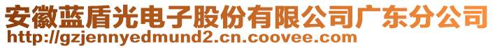 安徽藍(lán)盾光電子股份有限公司廣東分公司