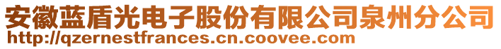 安徽藍(lán)盾光電子股份有限公司泉州分公司