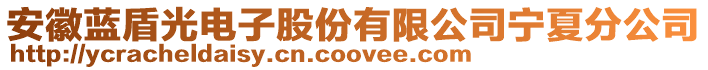 安徽藍(lán)盾光電子股份有限公司寧夏分公司