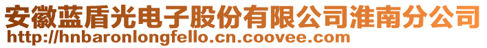 安徽藍(lán)盾光電子股份有限公司淮南分公司