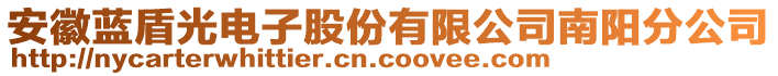 安徽藍盾光電子股份有限公司南陽分公司