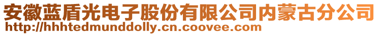 安徽藍(lán)盾光電子股份有限公司內(nèi)蒙古分公司