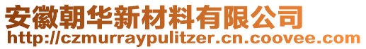 安徽朝華新材料有限公司