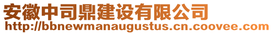 安徽中司鼎建設有限公司