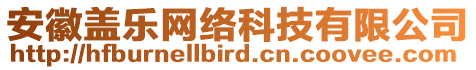 安徽蓋樂網絡科技有限公司
