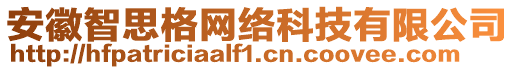 安徽智思格網絡科技有限公司