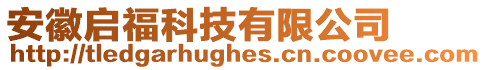 安徽啟?？萍加邢薰? style=