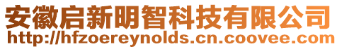 安徽啟新明智科技有限公司