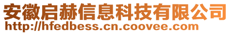 安徽啟赫信息科技有限公司