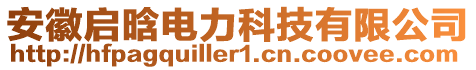 安徽啟晗電力科技有限公司