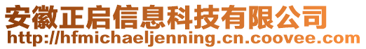 安徽正啟信息科技有限公司