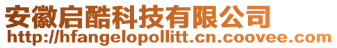 安徽啟酷科技有限公司