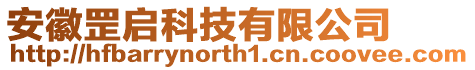安徽罡啟科技有限公司