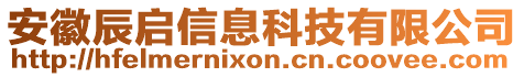 安徽辰啟信息科技有限公司