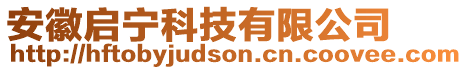 安徽啟寧科技有限公司