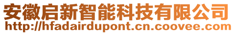 安徽啟新智能科技有限公司