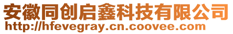 安徽同創啟鑫科技有限公司