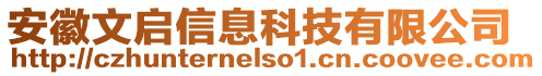 安徽文啟信息科技有限公司