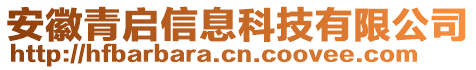安徽青啟信息科技有限公司