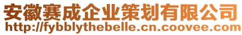 安徽賽成企業(yè)策劃有限公司