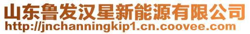 山東魯發漢星新能源有限公司