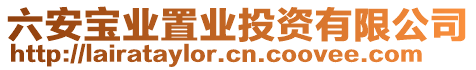 六安寶業(yè)置業(yè)投資有限公司