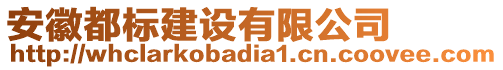 安徽都標建設有限公司
