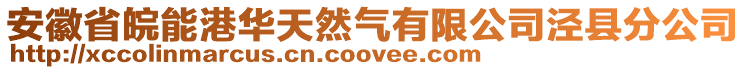 安徽省皖能港華天然氣有限公司涇縣分公司