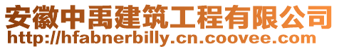 安徽中禹建筑工程有限公司