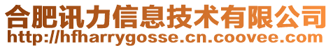 合肥訊力信息技術(shù)有限公司