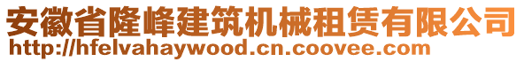 安徽省隆峰建筑機(jī)械租賃有限公司