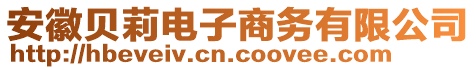 安徽貝莉電子商務(wù)有限公司