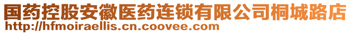 國藥控股安徽醫(yī)藥連鎖有限公司桐城路店