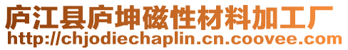 廬江縣廬坤磁性材料加工廠