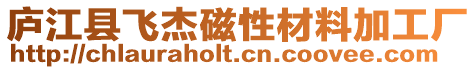 廬江縣飛杰磁性材料加工廠