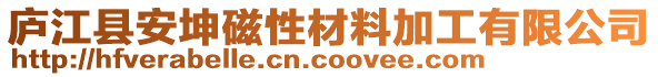 廬江縣安坤磁性材料加工有限公司
